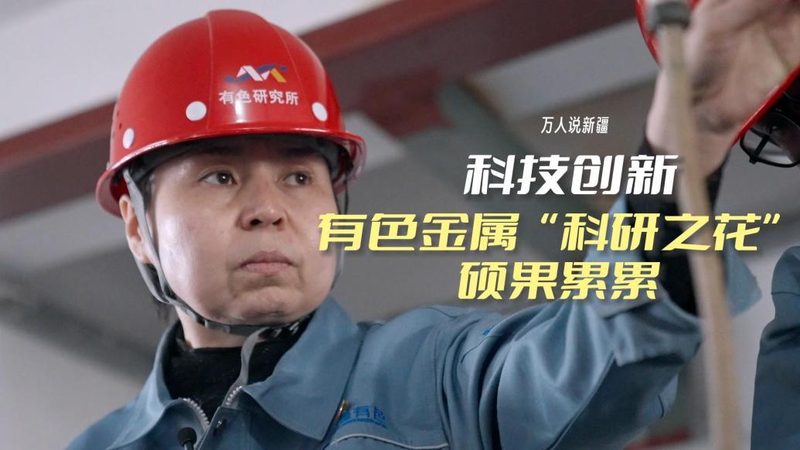 疫情数据可视化：实时更新背后的关键技术